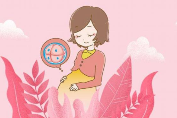 泰國試管嬰兒費(fèi)用是多少？泰國試管嬰兒成功率高嗎？